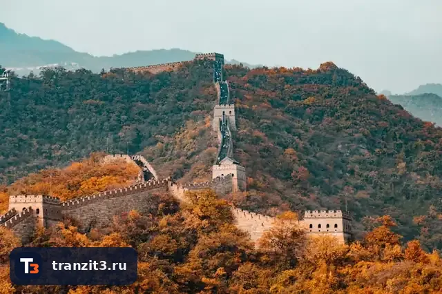 Как рассчитать доставку из Китая: ЖД или море для оптовой партии в 2026 году