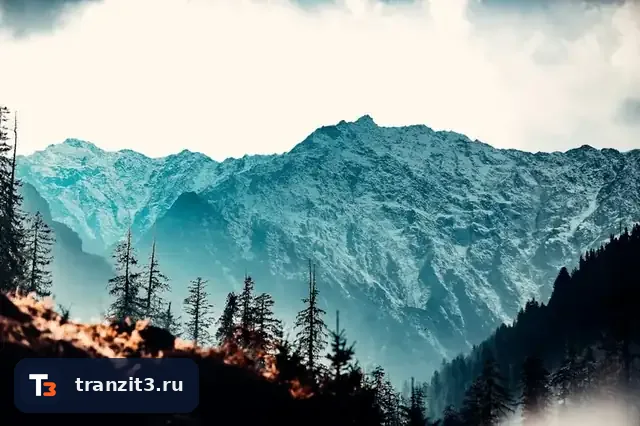 Доставка в Калининград: схемы, сроки и таможня для эксклава